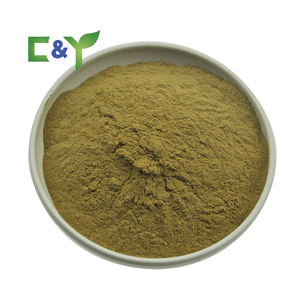 Pó de Folhas de Papaia Alimento Saudável Folhas de Papaia Frescas Folhas de Papaia Secas - Product Image 2