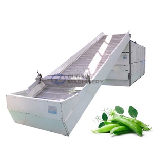 Essiccatore a Nastro a Maglia ad Alta Capacità per Foglie di Fagiolo, Germogli di Fagiolo Lungo e Punte di Fagiolo Alato - Product Image 1
