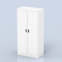Armoire de rangement professionnelle moderne en acier laminé à froid à 2 portes verrouillables pour l'école, le laboratoire médical et la pharmacie