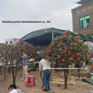 <span class=keywords><strong>ต้น</strong></span>ไม้แฟรงกิพานีเทียม<span class=keywords><strong>ขนาด</strong></span><span class=keywords><strong>ใหญ่</strong></span>ที่กำหนดเองสำหรับตกแต่งสวนสำหรับวันคริสต์มาสวันวาเลนไทน์-สำหรับโรงแรม B & BS <span class=keywords><strong>ต้น</strong></span>ไม้ประดิษฐ์ที่มีคุณภาพ - Product Image 5