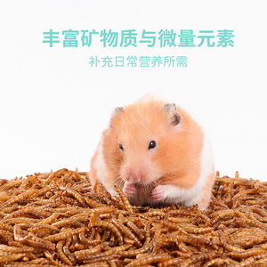 <b>Dried</b> <b>Mealworms</b> 4L Plastic Container For Hamsters Small Animal Food Reusable Feeder - Product Image 3