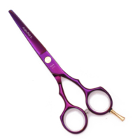AQIABI Ciseaux de coiffeur professionnels 5.5 ''JP Ciseaux de coupe de cheveux en acier Ciseaux amincissants Pointe pointue Violet A1104 Acier inoxydable