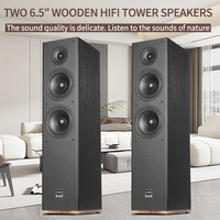 Enceinte colonne haut de gamme Niveau 2.0 pour salon, trois voies, passive, Hi-Fi, sur pied, en bois, pour système stéréo domestique
