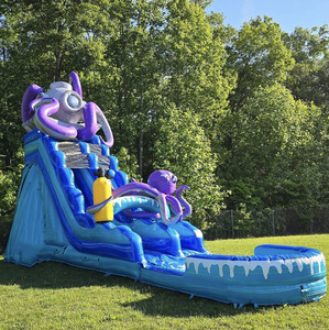 Jellyfish Inflatable <strong>Slide</strong> Cheap Price New Inflatable Water <strong>Slide</strong> <strong>Indoor</strong> <strong>Slide</strong> for Kids Inflatable Pool with <strong>Slide</strong> - Product Image 3
