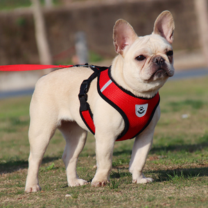 All Season Anti-Choke Cat Breathable Basic Mesh Vest Easy Control Lightweight Chest Dog Pet Leash & Harness with Leash Set - Product Image 3