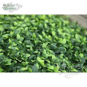 Tappeto in Erba Sintetica, Decorazione Murale in Plastica per <span class=keywords><strong>Giardino</strong></span>, Pianta Verde per Matrimoni, Vendita all'Ingrosso - Product Image 4