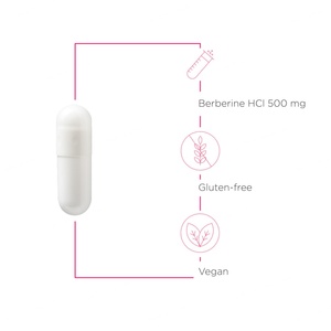 Cápsulas de Berberina Hcl, Suplemento Natural de Extracto Herbal de Berberina 500 mg, Marca Privada OEM - Product Image 3