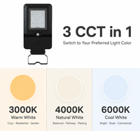 Lampe solaire de rue PRO 20W 3000lm équivalent 200W Longue durée de vie 8 ans 140x70 Type III Faisceau IP65 3CCT Double mode Montage flexible Extérieur