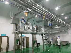 Usine clé en main pour l'abattage 50 taureaux par jour de mini machine d'abattage de vaches - Product Image 2