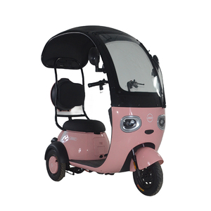 2024 Offre Spéciale de moto de vélo de Tricycle électrique à trois roues de haute qualité de 800W avec couvercle - Product Image 1