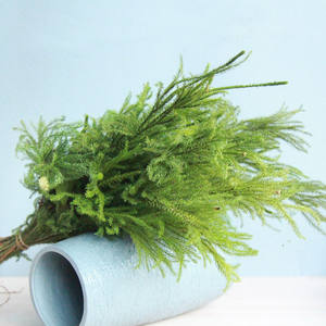 Dekorasi FBY02S-109 bahan lanskap bunga rumput pohon pinus diaphasium kering daun Veitchii lumut klub kering - Product Image 2