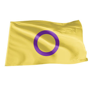 ธง LGBT ขนาด 3x5 ฟุต ขายส่ง ราคาถูก ธงแขวนในร่มและกลางแจ้ง สำหรับเลสเบี้ยนและคนข้ามเพศ - Product Image 2