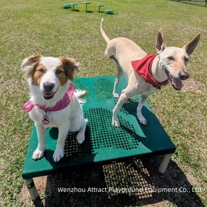 <span class=keywords><strong>Parque</strong></span> de juegos <span class=keywords><strong>para</strong></span> <span class=keywords><strong>perros</strong></span> y gatos |   Centro de Juegos al Aire Libre <span class=keywords><strong>para</strong></span> Áreas de Mascotas - Product Image 2