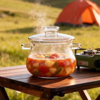 Marmite en verre de 3,5 L pour cuisson en extérieur avec couvercle, compatible flamme directe, en verre borosilicate, pour camping, randonnée et camping-car