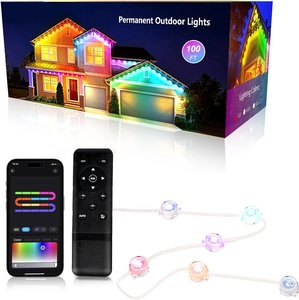 Christmas Festival Permanent <b>Light</b> Outdoor with Aluminum Track IP68 Multi-year Use - Product Image 1