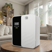 Diffuseur d'arôme de luxe professionnel pour voiture et hôtel Machine d'aromathérapie à l'huile essentielle pure