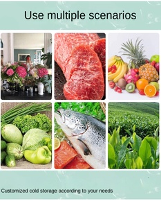 Chambre Froide Logistique à Accès Rapide <span class=keywords><strong>pour</strong></span> Aliments, Facile à Utiliser, 380V, <span class=keywords><strong>pour</strong></span> Industries Agricoles, avec Composants Moteur Essentiels, Conteneur - Product Image 6