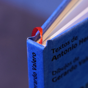 แคตตาล็อกและโบรชัวร์ปกแข็งขายดีอันดับต้นๆ พร้อมเคลือบฟิล์ม ปั๊มนูน/ปั๊มจม พิมพ์แบบกำหนดเอง - Product Image 5