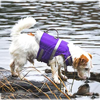 Harnais de sécurité pour chien réglable, rembourré et réfléchissant, avec système de sécurité détachable, imperméable, pour la natation, la navigation de plaisance, la chasse
