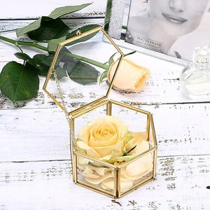Caja de Joyería de Vidrio Hexagonal Transparente con Borde de Latón Dorado, Estuche para Joyas a Prueba de Polvo, Organizador de Joyas, Caja de Exhibición para el Hogar y la Boutique - Product Image 3