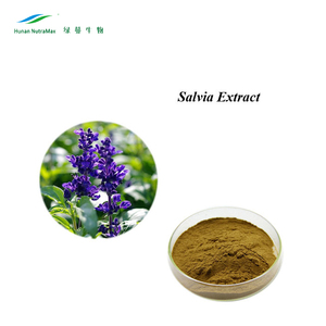 クラリーセージリーフSalviaOfficinalisエキス乾燥クラリーセージエキス - Product Image 3
