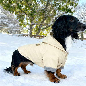 Luxury Winter All-Weather <strong>Dog</strong> Jacket Waterproof Puffer Pet <strong>Coat</strong> for Bassotto Wiener Dachshund Hamburg Teckel <strong>Sausage</strong> Polyester - Product Image 3