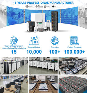 Nuovo arrivo costruito in Inverter Smart Bms 8000 cicli 51.2V 10Kwh 200Ah batteria di accumulo di energia solare per il sistema di energia domestica - Product Image 5