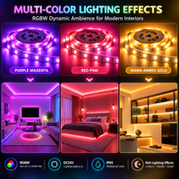 DC24V LC8816A Strip LED Pixel RGBW Terintegrasi IC yang Dapat Diatur Alamatnya 60 LED Per Meter
