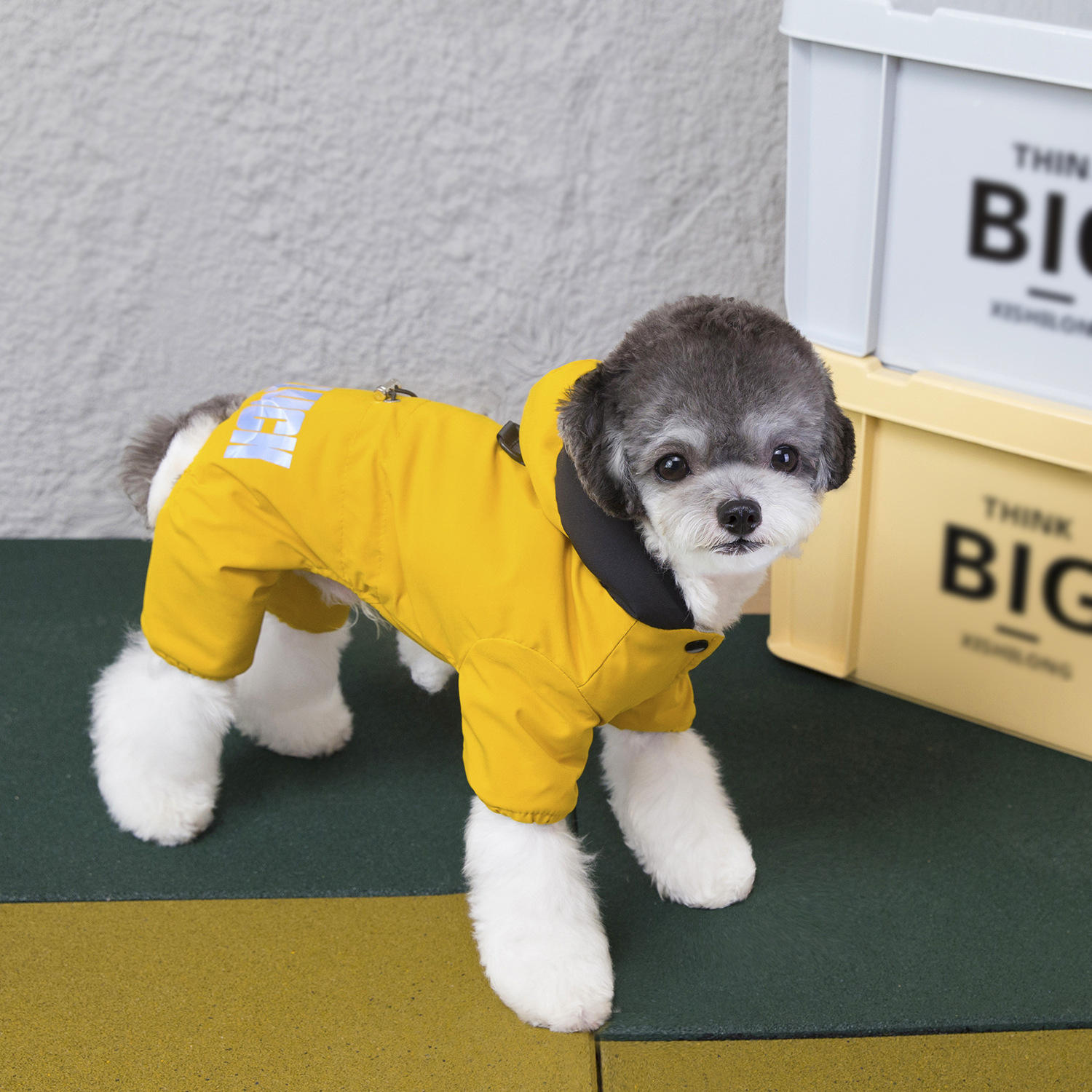 สีเหลือง