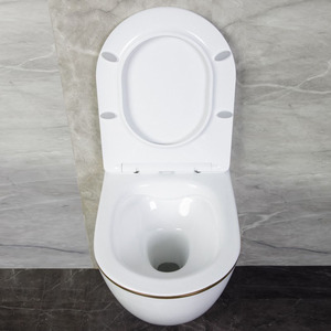 WC encastré à réservoir dissimulé, sans bride, à double chasse, avec finition moderne Or et Platine, pour usage domestique - Product Image 3
