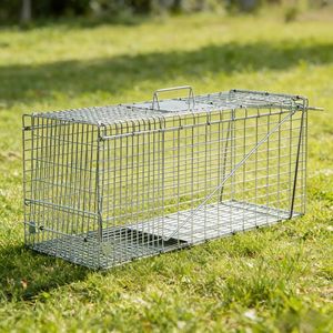 Piège à <span class=keywords><strong>souris</strong></span>, rats et écureuils 60x21x18cm - Cage de capture vivante sécurisée tout en acier pour appartements, maisons et lutte antiparasitaire - Product Image 1