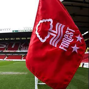 Bandiera Nazionale Personalizzata di Alta Qualità con Logo Ricamato e Strisce Cucite, Stampa Digitale CMYK con Inchiostro Eco-solvente UV per <span class=keywords><strong>NGO</strong></span> - Product Image 5