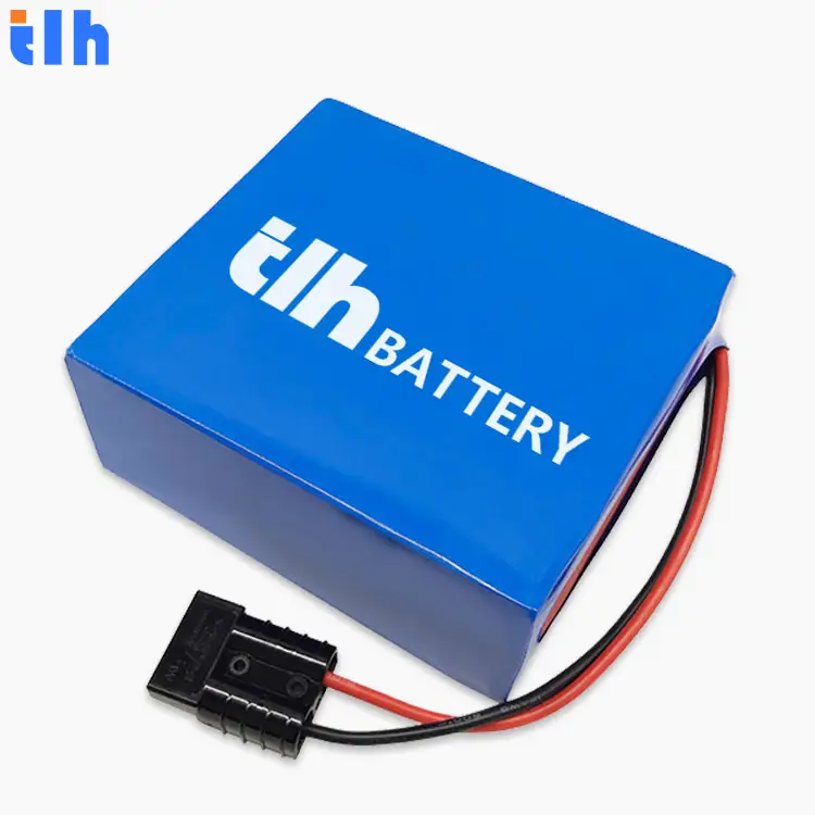 Shenzhen Manufacture One Year Warranty 7S 24v Battery Packs 18650 Lithium Battery,Lifepo4 Battery Pack
