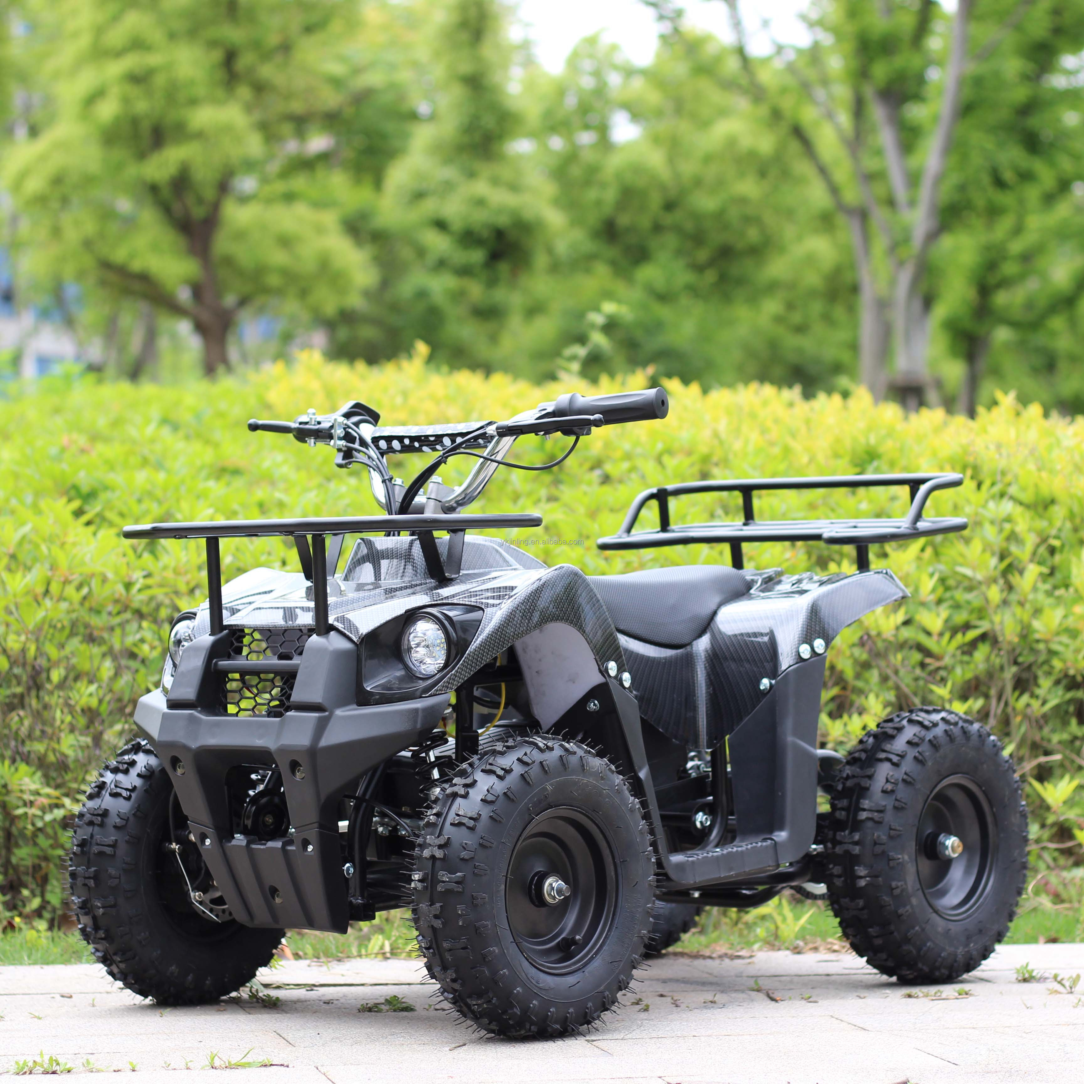 JINLING 800W elektrische ATV Quad Bikes für Erwachsene