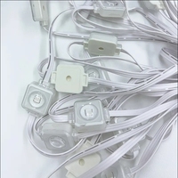 Luces LED Pixel RGBW de 24V CC Personalizadas, Decoración Navideña para Exteriores, Blanco Cálido CCT, IP65, Cuerpo de Lámpara de PC para Edificios