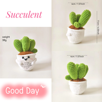 2025 vente chaude tricoté à la main plantes en pot succulentes ornements de bureau émotionnels interdisant les cartes d'anxiété fête des pères saint valentin