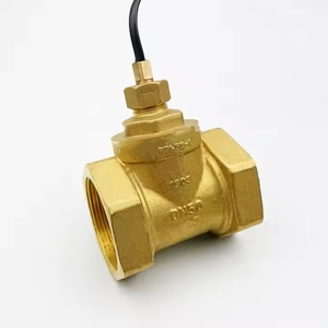 สวิตช์ควบคุมการไหลแบบใบพัดทองเหลืองทนอุณหภูมิสูง DN25 สำหรับระบบ HVAC หม้อไอน้ำ ปั๊มน้ำหมุนเวียน เซ็นเซอร์ป้องกัน - Product Image 5