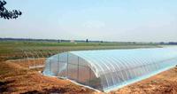 Systèmes de culture hydroponique agricole pour légumes et tomates, grande serre familiale à simple travée en film PE transparent