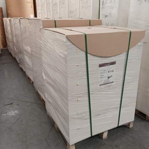 Paper Cup In <b>Sheet</b> Suitable For All Food And Beverage Packaging Recyclable With Customer Customization Available - Product Image 5