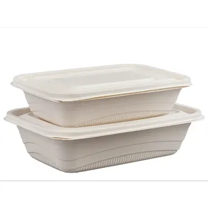 Custom Degradable Disposable Tableware Takeout Food Compost Package Bento Box Cornstarch Lunch Box