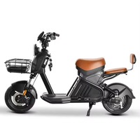 Scooter électrique à batterie lithium, deux places, avec panier avant, E-Moped, vélo électrique urbain, vente en gros pour adultes