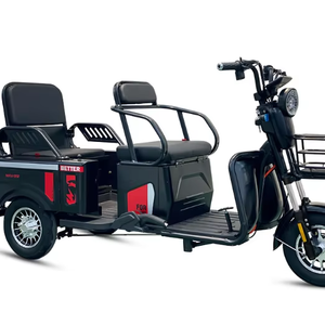 Nuevo y Popular Scooter Eléctrico de 3 Ruedas, Mini Triciclo de Movilidad, Accesible para Discapacitados, 48V, 2 Pasajeros, Hecho a Mano en <span class=keywords><strong>Jiangsu</strong></span>, con Certificación CE - Product Image 1