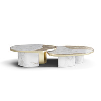 Table basse de luxe italienne moderne pour maison haut de gamme en acier inoxydable et marbre avec épissure légère Meubles de salon de style luxe