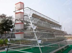 حالة جديدة من نوع قفص تغذية الدجاج زرع التلقائي شبكة بطارية قفص الدواجن لتربية الدجاج بكفاءة - Product Image 4