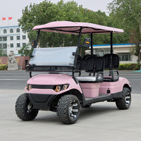 Voiturette de golf électrique 4 places économique, robuste, utilitaire, avec benne arrière, livraison en entrepôt