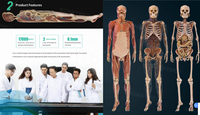 Meja anatomi Virtual manusia 3D Digital, tabel Digital Dissection pengajaran anatomi untuk pendidikan sekolah
