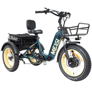 Trike elettrico da carico per adulti 25mph 750W trike elettrico scooter adulti trike elettrici per adulti con freni a disco idraulici