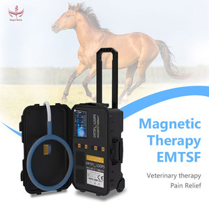 Máquina de Terapia Magnética MagicBelle EMTSF Loops, Equipo Veterinario para el Alivio del Dolor en Caballos, Pantalla Táctil, Certificación CE, Uso Doméstico - Product Image 1