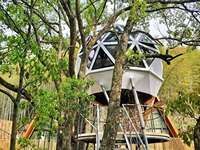 Nouveau dôme de Studio de jardin, maison dôme vert, dôme géométrique, boule d'arbre de maison abordable à vendre