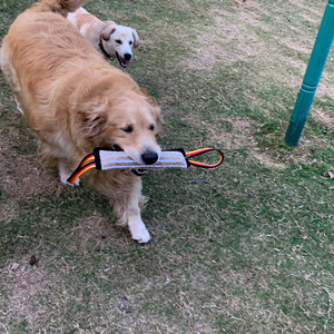 Bâton de dressage pour <span class=keywords><strong>chien</strong></span> en jute – Jouet à mâcher pour Berger <span class=keywords><strong>allemand</strong></span> et Mastiff – Récupération et attaque – Super résistant et souple - Product Image 4